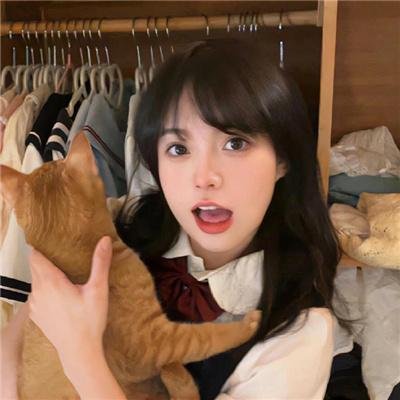 花园蜘蛛